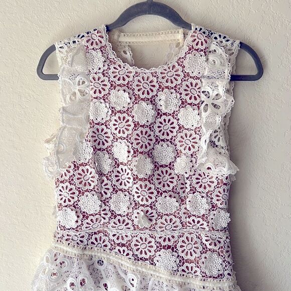 Alexis Lace Dress  - Picture 3 of 10